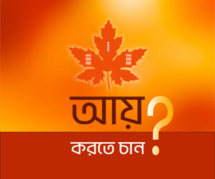 আয় করতে চান ?